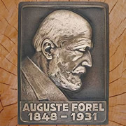 Lettre au Professeur Auguste Forel